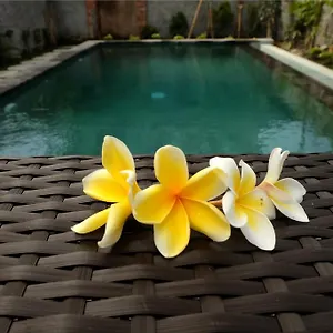 Eka Bali *** Ubud