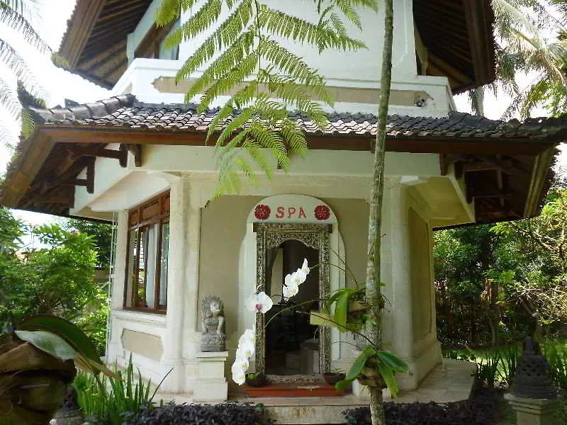 Panorama Hotel Ubud 2*,  Indonezja